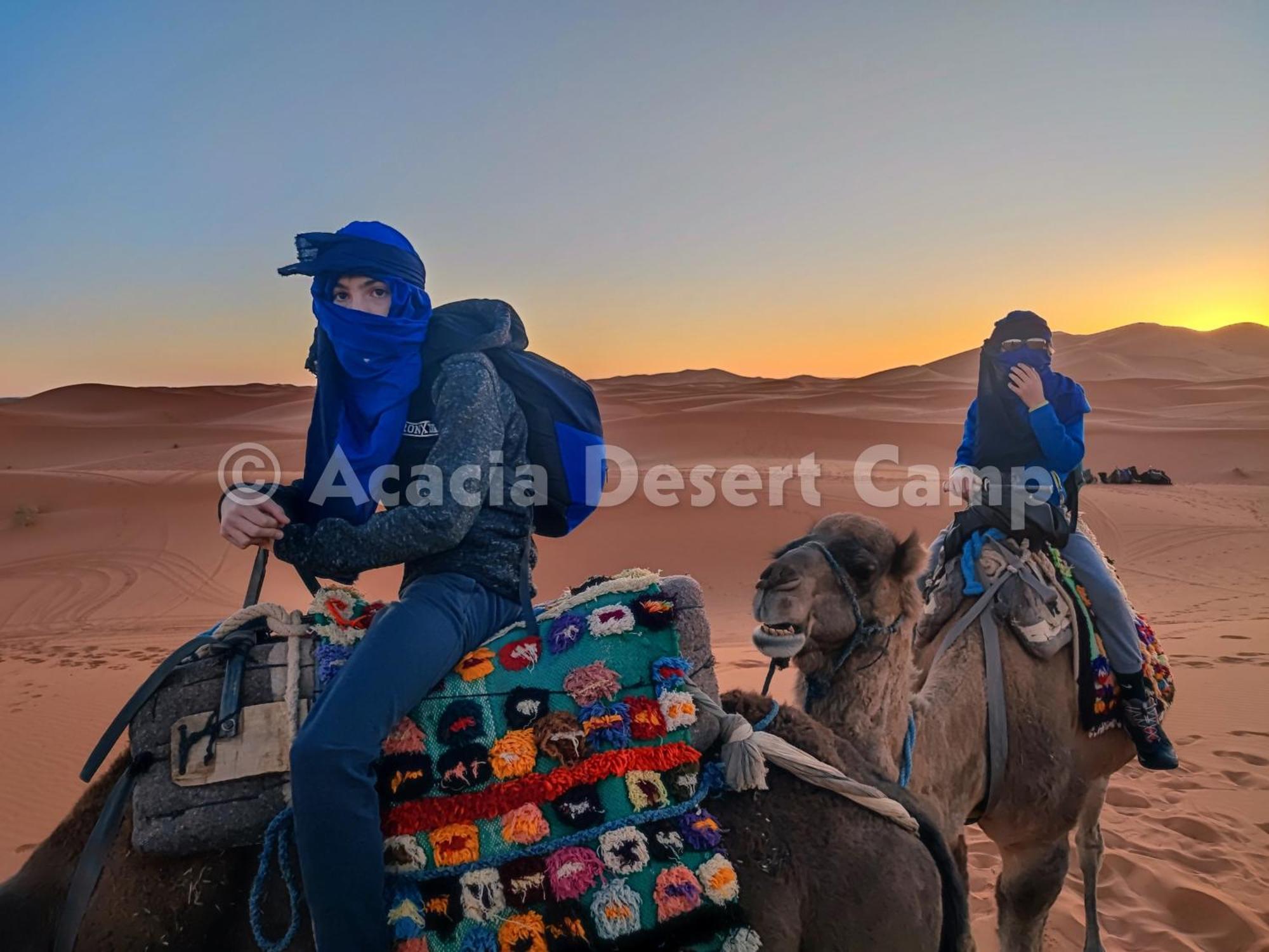 מלון מרזאוגה Acacia Desert Camp מראה חיצוני תמונה