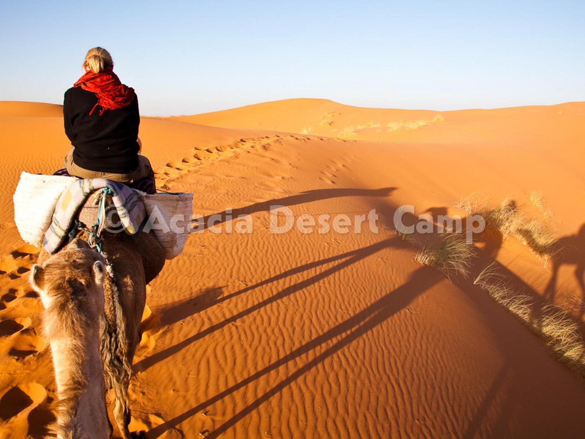 מלון מרזאוגה Acacia Desert Camp מראה חיצוני תמונה