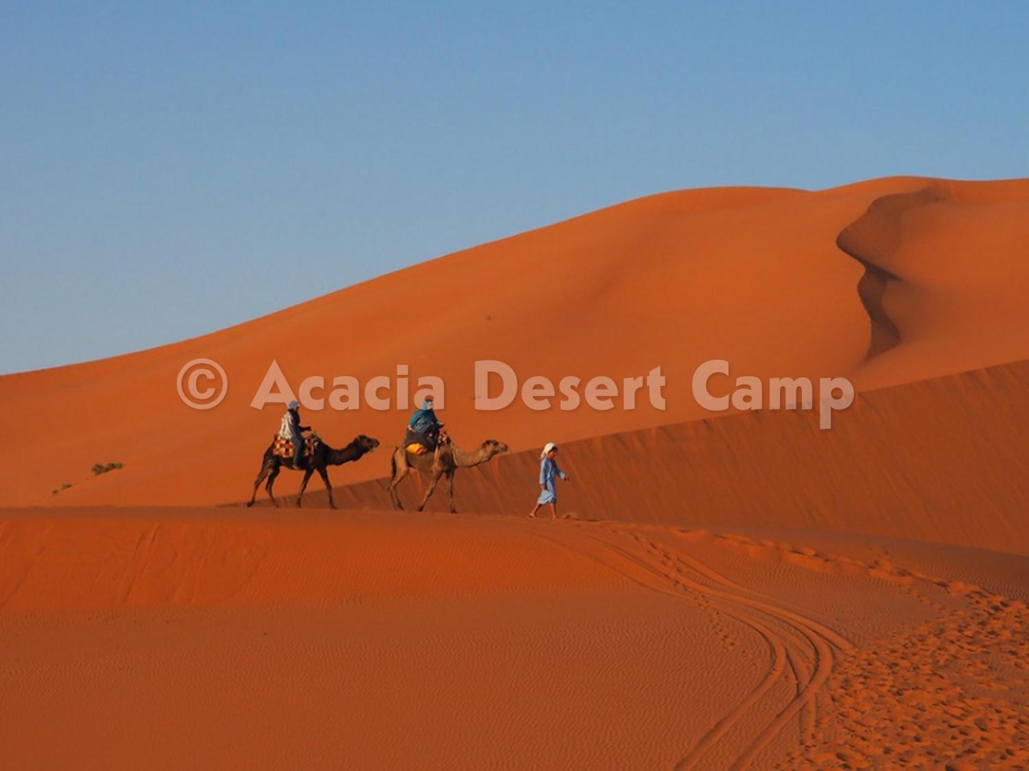 מלון מרזאוגה Acacia Desert Camp מראה חיצוני תמונה