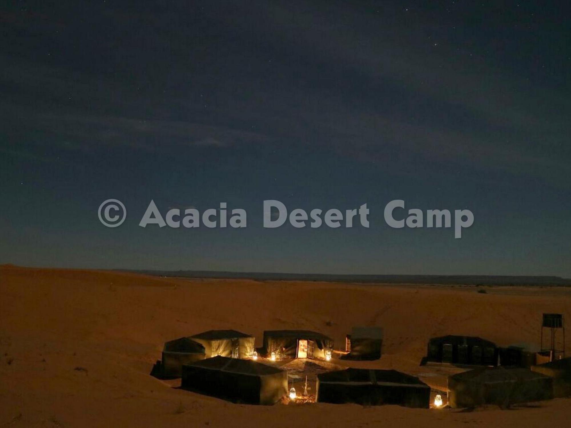 מלון מרזאוגה Acacia Desert Camp מראה חיצוני תמונה